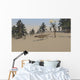 Ceratosaurus Hunting for Its Wall Decal Design 1