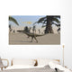 Coelophysis Desert Landscape Wall Decal