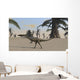 Coelophysis Desert Landscape Wall Decal