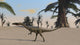 Coelophysis Desert Landscape Wall Decal