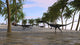 Three Coelophysis Running along Wall Decal