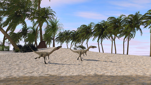 Two Coelophysis Running towards Wall Decal