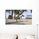 Coelophysis Prehistoric Environment Wall Decal