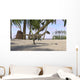 Coelophysis Prehistoric Environment Wall Decal