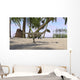 Coelophysis Prehistoric Environment Wall Decal
