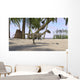 Coelophysis Prehistoric Environment Wall Decal