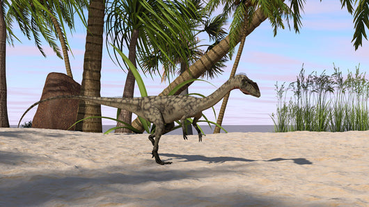 Coelophysis Prehistoric Environment Wall Decal