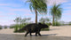 Triceratops Walking along Shoreline Wall Decal Design 2