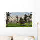 Dicraeosaurus Walking across Open Wall Decal Design 2