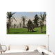 Dicraeosaurus Walking across Open Wall Decal Design 2