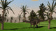 Dicraeosaurus Walking across Open Wall Decal Design 2