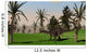 Dicraeosaurus Walking across Open Wall Decal Design 2