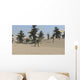 Dilophosaurus Tropical Environment Wall Decal