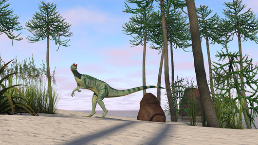 Dilophosaurus Hunting for Its Wall Decal Design 6