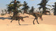 Two Gigantoraptors Desert Landscape Wall Decal