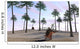 Kentrosaurus Roaming Prehistoric Landscape Wall Decal
