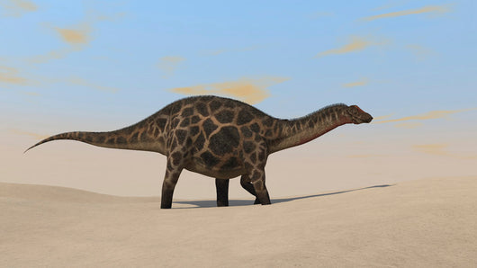 Dicraeosaurus Walking across Barren Wall Decal Design 1
