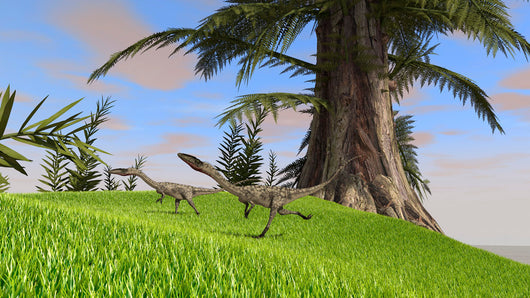 Coelophysis Running across Open Wall Decal
