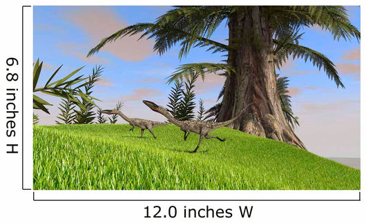 Coelophysis Running across Open Wall Decal