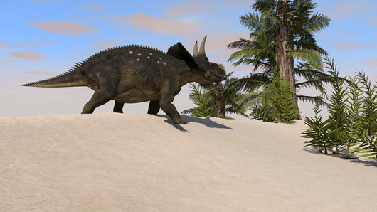 Triceratops Walking along Prehistoric Wall Decal Design 1