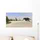 Triceratops Roaming Prehistoric Landscape Wall Decal Design 2
