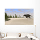 Triceratops Roaming Prehistoric Landscape Wall Decal Design 2