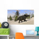 Triceratops Roaming Prehistoric Landscape Wall Decal Design 1