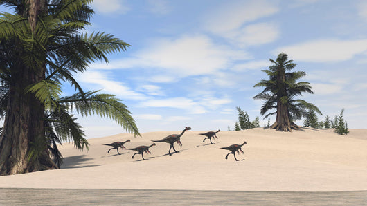Herd Gigantoraptors Walking along Wall Decal