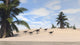 Herd Gigantoraptors Walking along Wall Decal