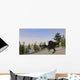 Spinosaurus Hunting for Its Wall Decal Design 7