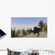 Spinosaurus Hunting for Its Wall Decal Design 7