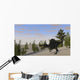 Spinosaurus Hunting for Its Wall Decal Design 7