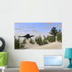 Spinosaurus Hunting for Its Wall Decal Design 6