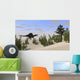 Spinosaurus Hunting for Its Wall Decal Design 6