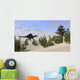 Spinosaurus Hunting for Its Wall Decal Design 6