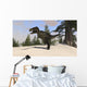 Tyrannosaurus Rex Hunting for Wall Decal Design 11