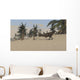 Majungasaurus Roaming Prehistoric Landscape Wall Decal