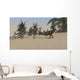 Majungasaurus Roaming Prehistoric Landscape Wall Decal