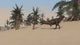 Majungasaurus Roaming Prehistoric Landscape Wall Decal