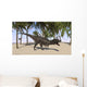 Majungasaurus Prehistoric Landscape Wall Decal