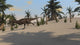 Majungasaurus Prehistoric Environment Wall Decal Design 1
