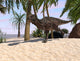 Majungasaurus Running across Tropical Wall Decal Design 2