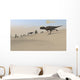 Ceratosaurus Running across Barren Wall Decal Design 5