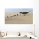 Ceratosaurus Running across Barren Wall Decal Design 5