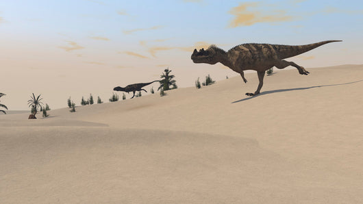 Ceratosaurus Running across Barren Wall Decal Design 5