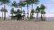 Spinosaurus Hunting along Shore Wall Decal Design 2