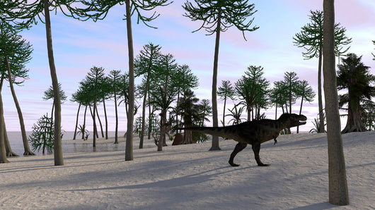 Tyrannosaurus Rex Hunting for Wall Decal Design 10