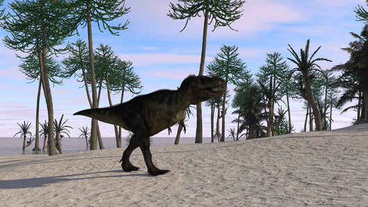 Tyrannosaurus Rex Hunting for Wall Decal Design 9