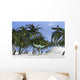 Dilophosaurus Hunting for Its Wall Decal Design 4