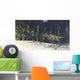 Ceratosaurus Hunting Prehistoric Environment Wall Decal Design 3